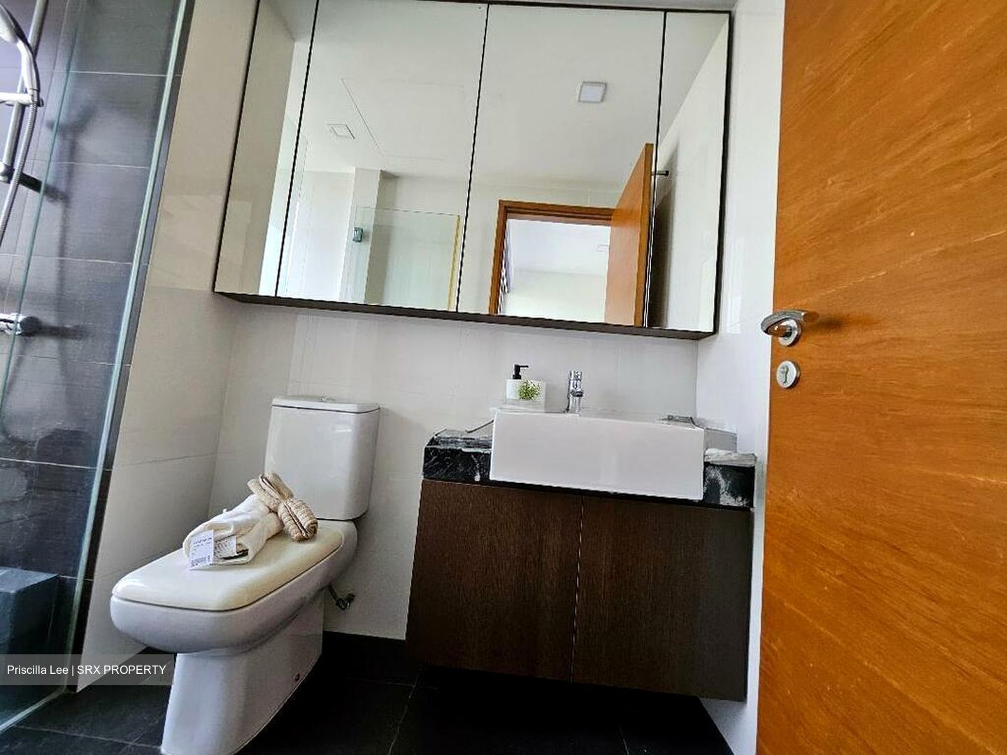 The Parc Condominium (D5), Condominium #498003471